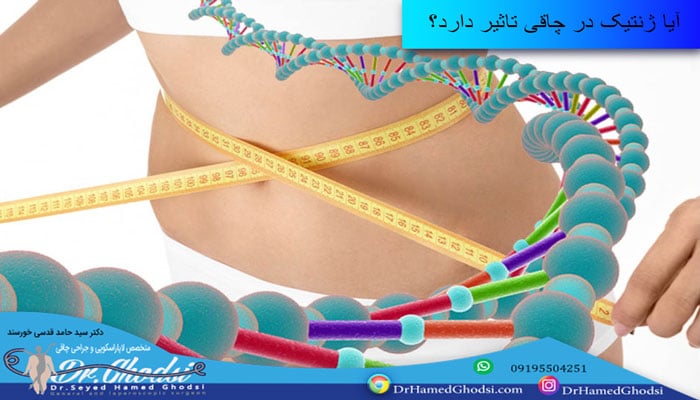 تاثیر ژنتیک در چاقی