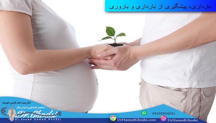 بارداری، پیشگیری از بارداری و باروری
