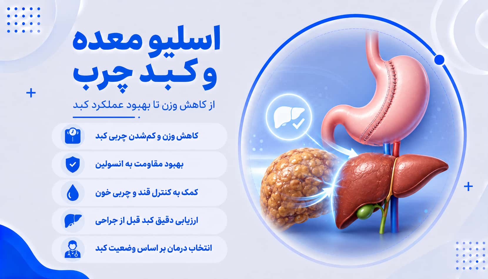 اسلیو معده و کبد چرب